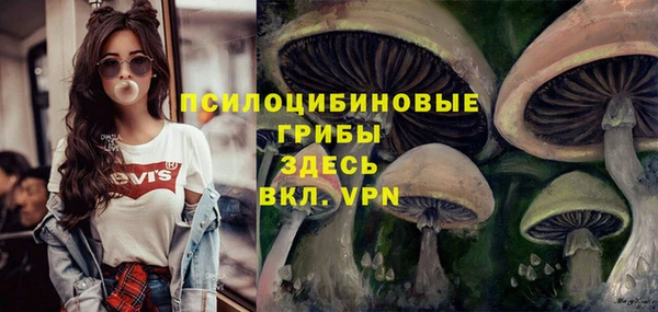 прущая мука Нея