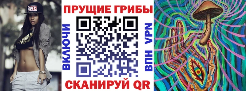 Псилоцибиновые грибы Psilocybine cubensis  Татарск 